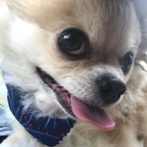 Meet your Posher, Suzanne